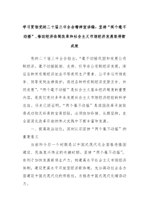 學(xué)習(xí)貫徹黨的二十屆三中全會精神宣講稿：堅持“兩個毫不動搖”,推動經(jīng)濟(jì)體制改革和社會主義市場經(jīng)濟(jì)發(fā)展取得新成效