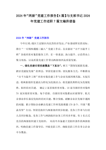 2024年“兩新”黨建工作報(bào)告【4篇】與支部書記2024年黨建工作述職7篇文編供借鑒
