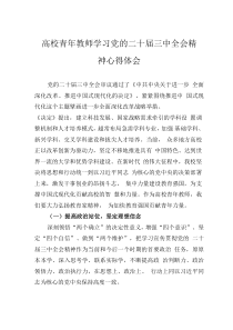 高校青年教師學習黨的二十屆三中全會精神心得體會
