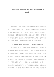 2024年度黨組成員民主生活會(huì)個(gè)人對照檢查材料兩篇精選