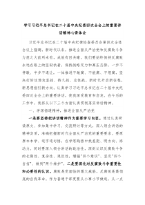 學(xué)習(xí)習(xí)近平總書記在二十屆中央紀(jì)委四次全會上的重要講話精神心得體會