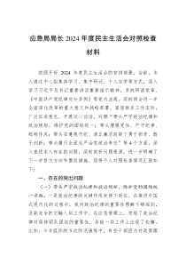 應(yīng)急局局長2024年度民主生活會對照檢查材料