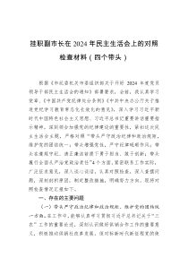 掛職副市長在2024年民主生活會上的對照檢查材料（四個帶頭）