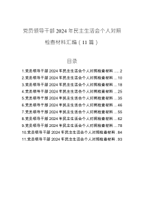黨員領(lǐng)導(dǎo)干部2024年民主生活會個(gè)人對照檢查材料匯編（11篇）