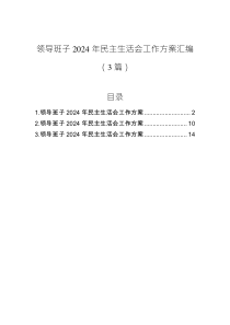 領(lǐng)導(dǎo)班子2024年民主生活會工作方案匯編（3篇）