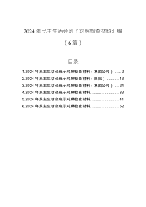 2024年民主生活會(huì)班子對(duì)照檢查材料匯編（6篇）