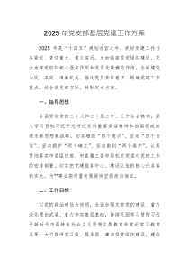 2025年黨支部基層黨建工作方案范文2篇