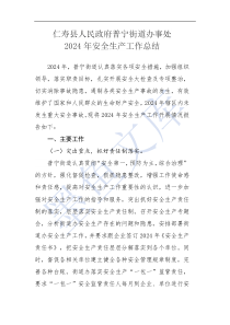 仁壽縣人民政府普寧街道辦事處2024年安全生產工作總結