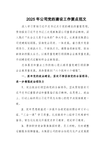 2025年公司黨的建設(shè)工作要點(diǎn)范文
