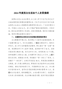 2024年度民主生活會(huì)的個(gè)人發(fā)言提綱