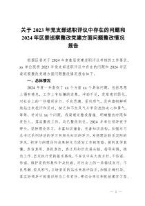 關于2023年黨支部述職評議中存在的問題和2024年區(qū)委巡察整改黨建方面問題整改情況報告