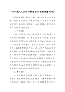 2024年度民主生活會（組織生活會）查擺問題整改方案