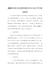 2025年統(tǒng)計(jì)機(jī)關(guān)青年理論學(xué)習(xí)小組工作方案供參考
