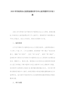 2025年市政府辦公室黨組理論學(xué)習中心組專題學(xué)習計劃2篇
