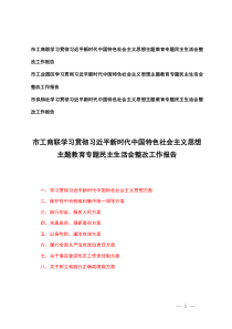 2025年（踐行宗旨、服務(wù)人民方面；求真務(wù)實(shí)、狠抓落實(shí)方面；以身作則、廉潔自律八個(gè)方面）學(xué)習(xí)貫徹習(xí)近平新時(shí)代中國(guó)特色社會(huì)主義思想主題教育專題民主生活會(huì)整改工作報(bào)告