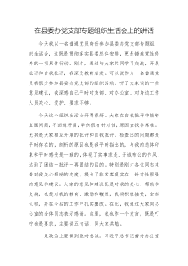 2025在縣委辦黨支部專題組織生活會上的講話