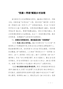 交流發(fā)言：“黨建＋網(wǎng)格”賦能鄉(xiāng)村治理