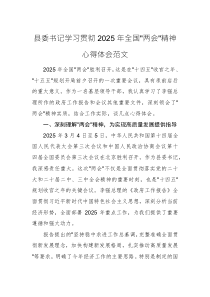 縣委書記學習貫徹2025年全國