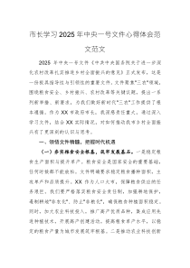 市長學習2025年中央一號文件心得體會范文范文