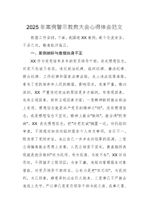 2025年案例警示教育大會心得體會范文