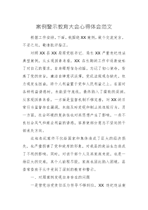 案例警示教育大會心得體會范文