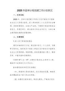 2025年縣審計(jì)局黨建工作計(jì)劃例文
