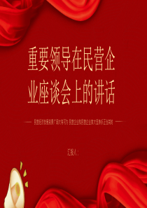 在民營企業(yè)座談會(huì)的講話（20250303）