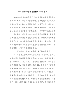 學(xué)習(xí)2025年全國(guó)兩會(huì)精神心得體會(huì)3
