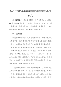 2024年度民主生活會查擺問題整改情況報告例文