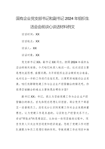 國(guó)有企業(yè)黨支部書(shū)記和副書(shū)記2024年組織生活會(huì)會(huì)前談心談話材料例文