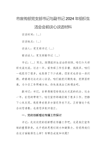宣傳部黨支部書(shū)記與副書(shū)記2024年組織生活會(huì)會(huì)前談心談話材料文稿