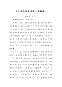 在人大湖北代表團(tuán)上的發(fā)言（全國(guó)兩會(huì)）