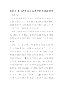 縣委書記、縣人大常委會主任在縣委農(nóng)村工作會議上的講話