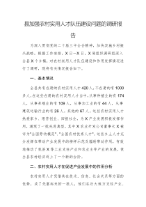 加強農(nóng)村實用人才隊伍建設問題的調(diào)研報告文稿