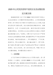 2025年公司黨員領(lǐng)導(dǎo)干部民主生活會(huì)整改落實(shí)方案文稿