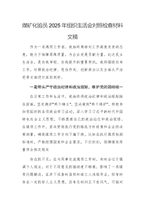 煤礦化驗(yàn)員2025年組織生活會(huì)對照檢查材料文稿