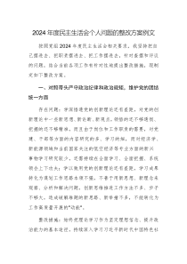 2024年度民主生活會(huì)個(gè)人問題的整改方案例文