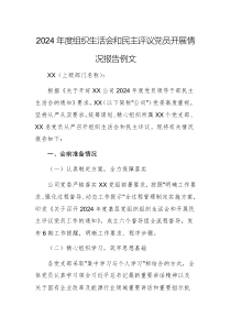 2024年度組織生活會和民主評議黨員開展情況報告例文
