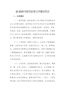 2025年防汛抗旱工作要點(diǎn)范文