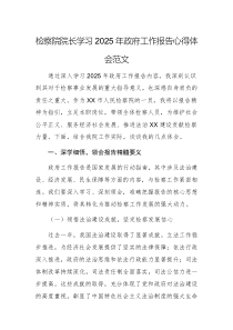 檢察院院長(zhǎng)學(xué)習(xí)2025年政府工作報(bào)告心得體會(huì)范文