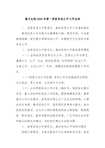 鎮(zhèn)衛(wèi)生院2025年第一季度信息公開工作總結(jié)