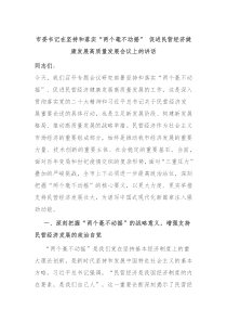 市委書記在堅(jiān)持和落實(shí)“兩個(gè)毫不動(dòng)搖” 促進(jìn)民營經(jīng)濟(jì)健康發(fā)展高質(zhì)量發(fā)展會(huì)議上的講話