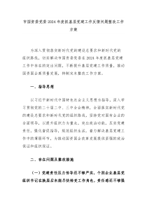 市國資委黨委2024年度抓基層黨建工作反饋問題整改工作方案