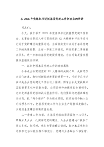 在2025年黨組織書記抓基層黨建工作例會(huì)上的講話