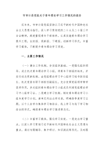 市審計(jì)局黨組關(guān)于青年理論學(xué)習(xí)工作情況的報(bào)告