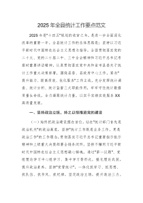 2025年全縣統(tǒng)計工作要點范文