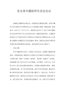 黨支部專題組織生活會會議