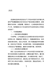 2025年安全生產(chǎn)三年治本攻堅行動階段性總結報告.text