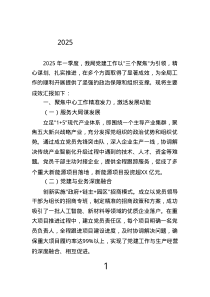 2025年一季度黨建工作匯報.text