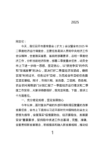 市委常委會（擴大）會議暨全市2025年二季度經(jīng)濟運行調(diào)度會上的講話.text